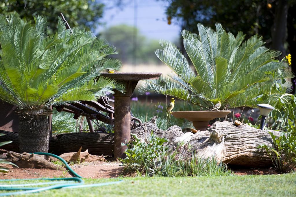 Boschfontein Guest Farm Villa Thabazimbi Exterior photo